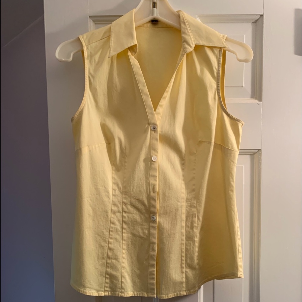 Ann Taylor Sleeveless Button Down Shirt
